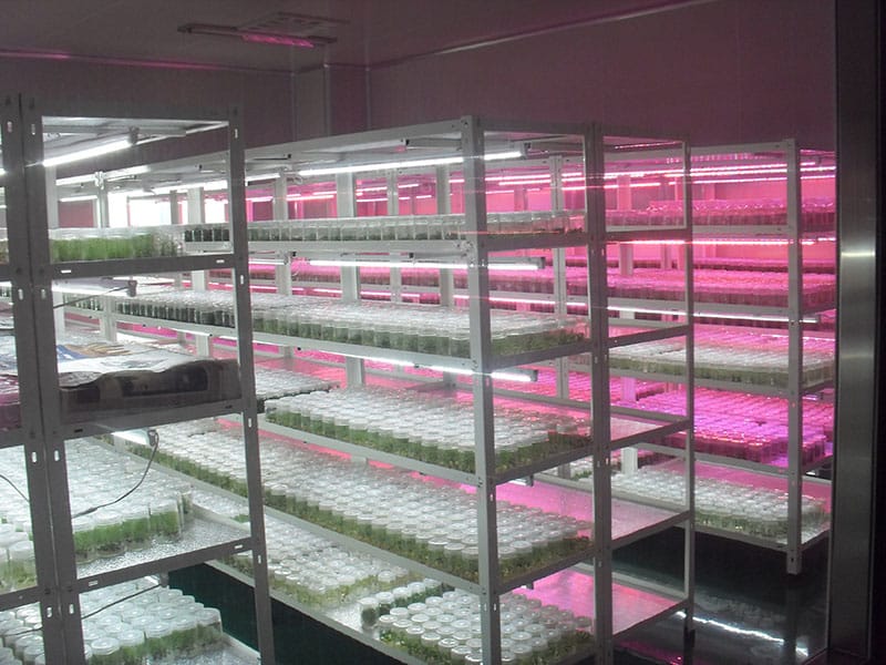 藍莓黄瓜视频成人版室及儀器設備