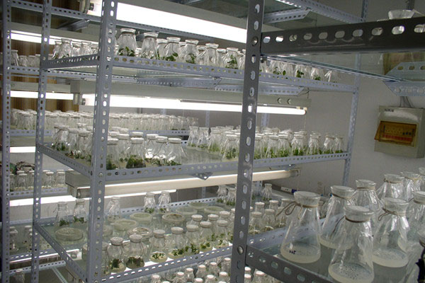 黄瓜视频成人版室受汙染的原因以及有哪些汙染源