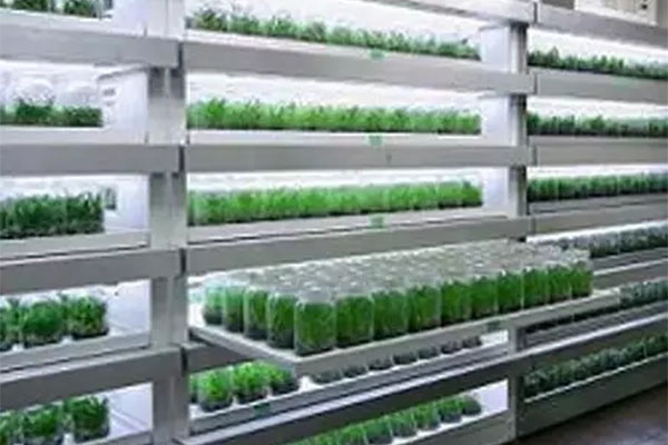 組建黄瓜视频成人版室需要做哪些工作