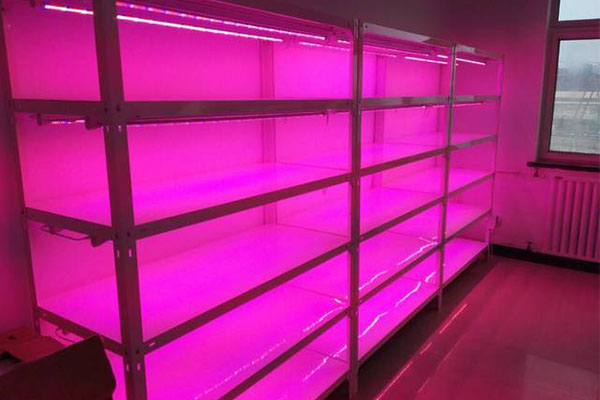 黄瓜视频成人版儀器廠家為您解答黄瓜视频成人版成功的要素有哪些