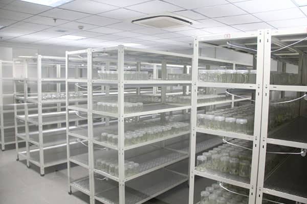 黄瓜视频成人版架的優點有哪些