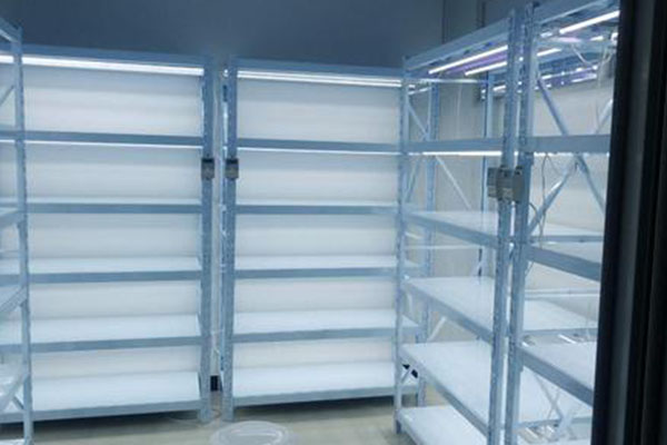 黄瓜视频成人版架廠家淺談植物黄瓜视频成人版的優勢