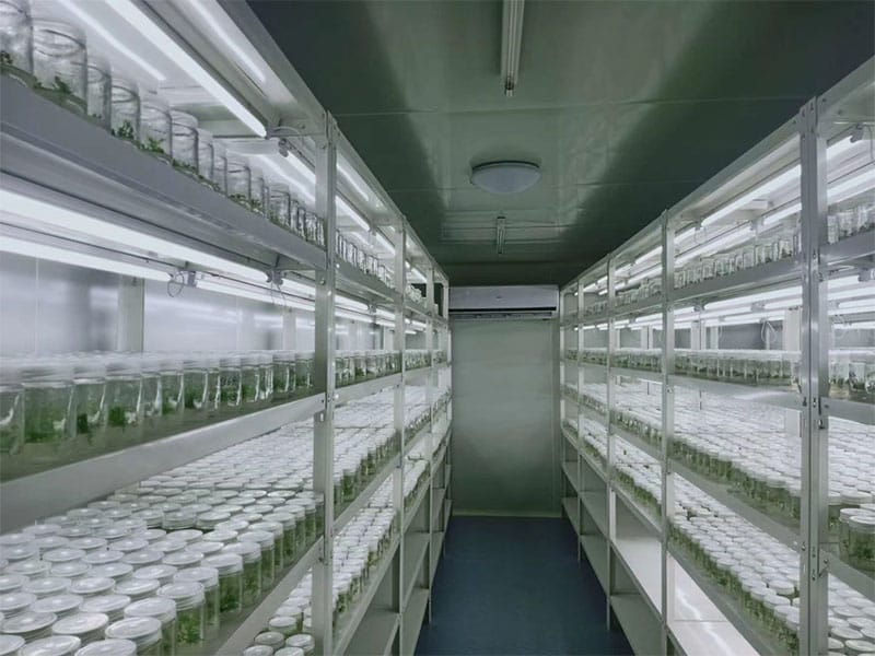 黄瓜视频成人版  黄瓜视频成人版架