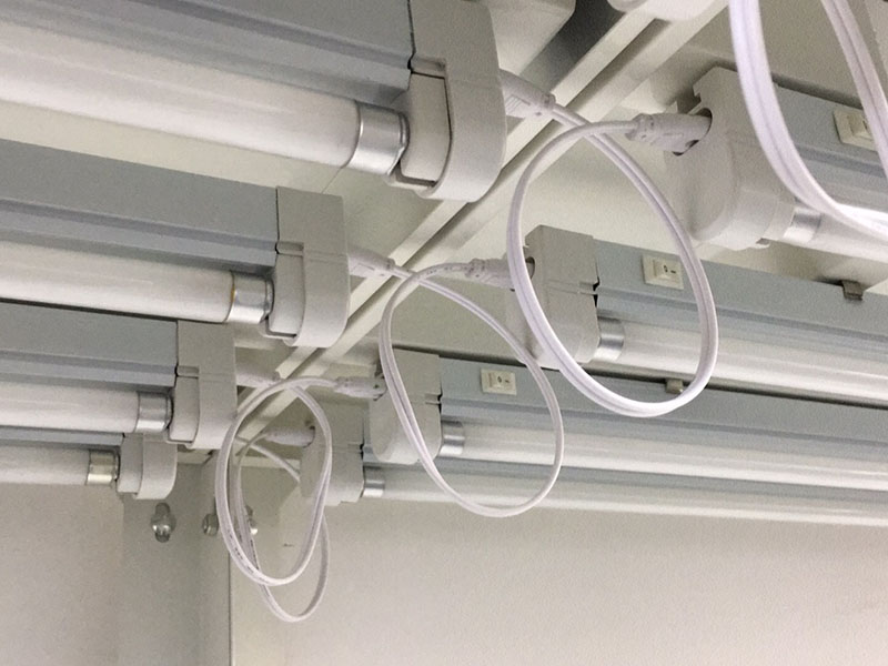 黄瓜视频成人版燈