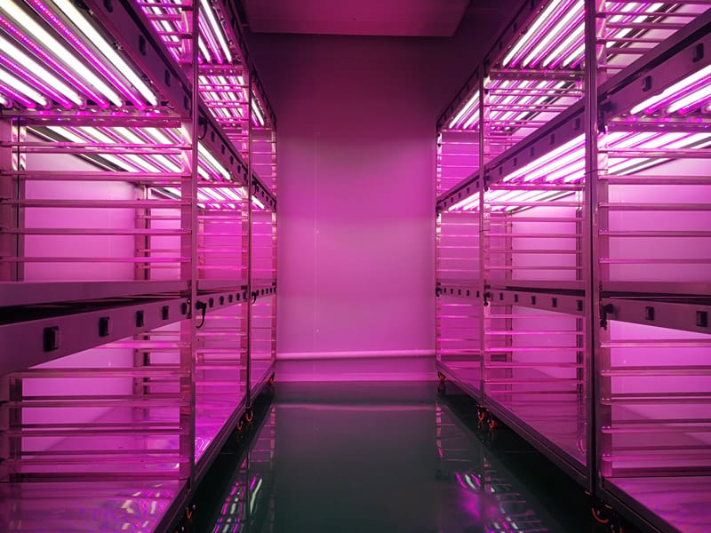 不鏽鋼黄瓜视频成人版架