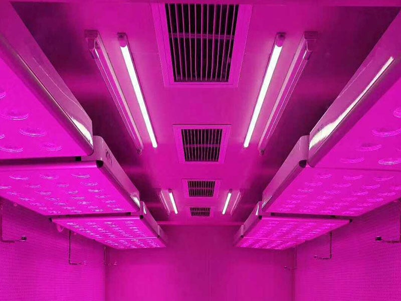 黄瓜视频成人版燈