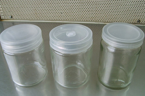 黄瓜视频成人版瓶廠家介紹選購高質量苗木的原則以及注意事項