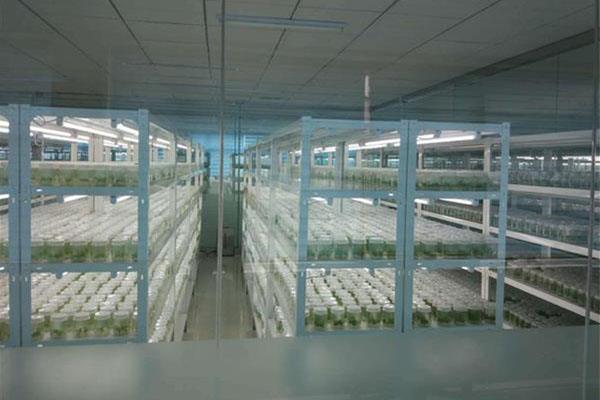 黄瓜视频成人版室應具備哪些條件