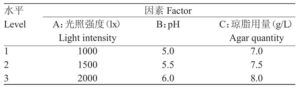 鐵皮石斛黄瓜视频成人版苗生根條件優化研究