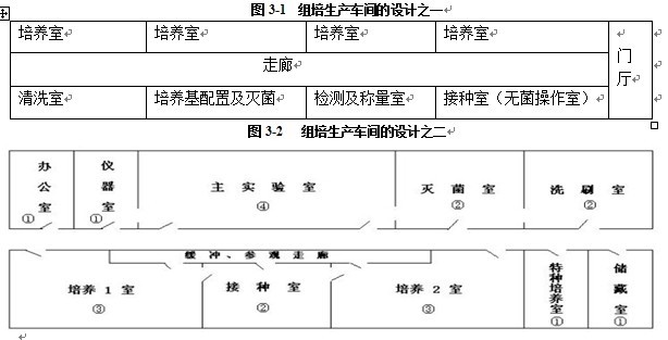 黄瓜视频成人版室設計基本規則
