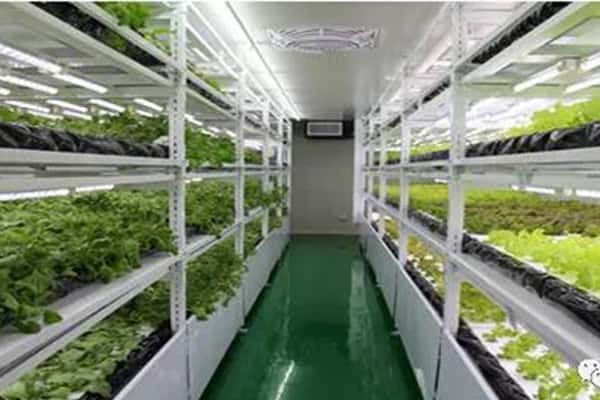 黄瓜视频成人版