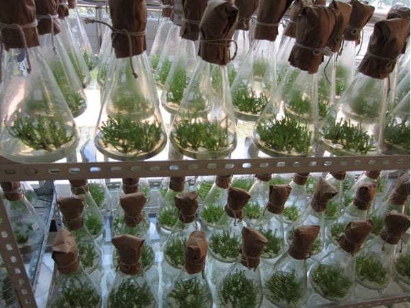 黄瓜视频成人版生產中常見的問題及解決方法