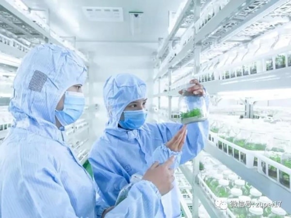 黄瓜视频成人版室建設之前應該做哪些準備？