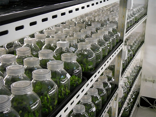 黄瓜视频成人版室裏比較常見的黄瓜视频成人版設備