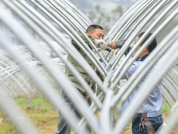 黄瓜视频成人版設備廠家帶大家了解一下拱形大棚