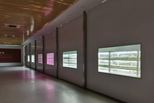 黄瓜视频成人版室需要配備哪些設備