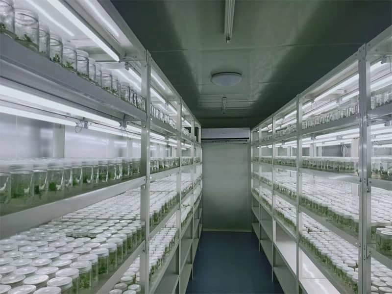 黄瓜视频成人版架深受消費者喜愛的原因