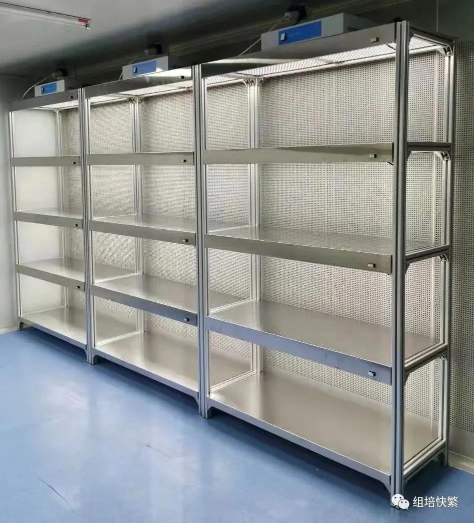 黄瓜视频成人版架，培養架，植物黄瓜视频成人版架，黄瓜视频成人版室設備